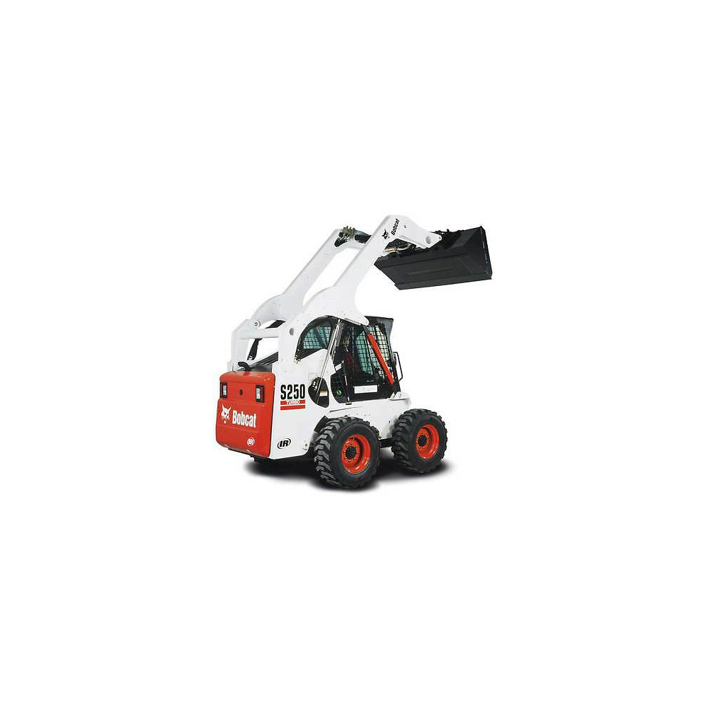 Bobcat